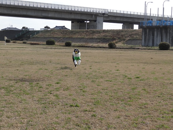 DSC01366.jpg