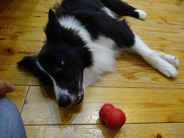 DSC01383.jpg