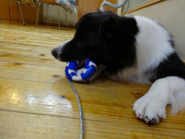 DSC01410.jpg