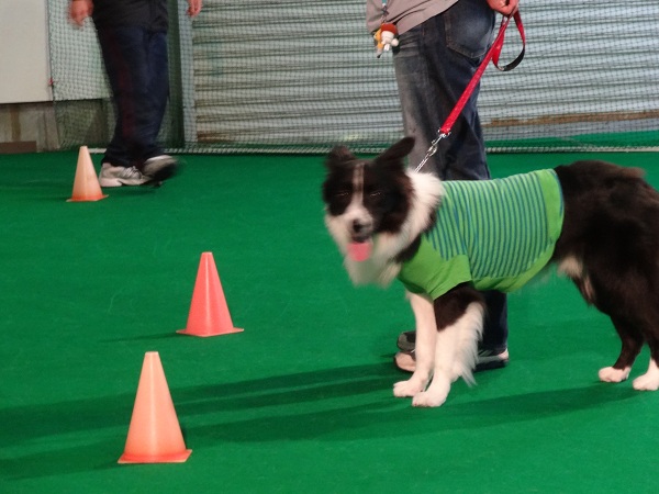 DSC01423.jpg