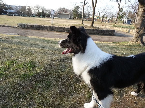 DSC01485.jpg