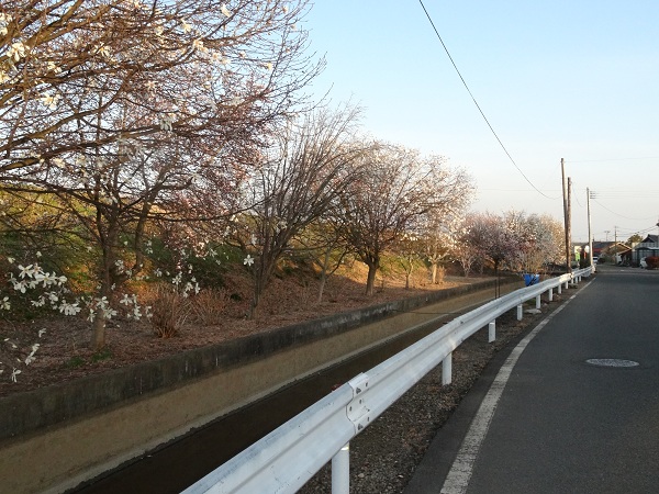 DSC01503.jpg