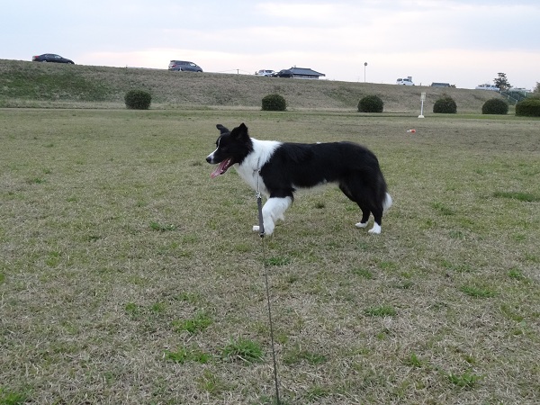 DSC01509.jpg