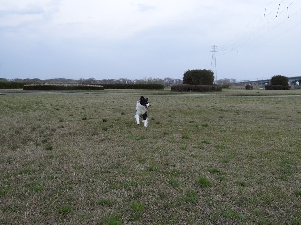 DSC01514.jpg