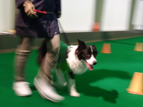 DSC01550.jpg
