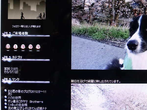 DSC01576.jpg