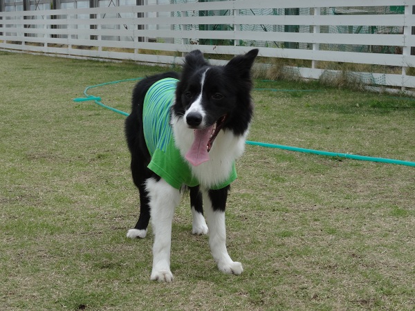 DSC01653.jpg