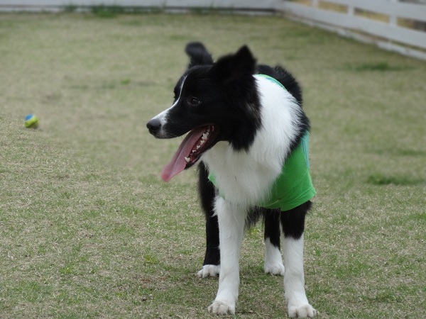 DSC01656.jpg