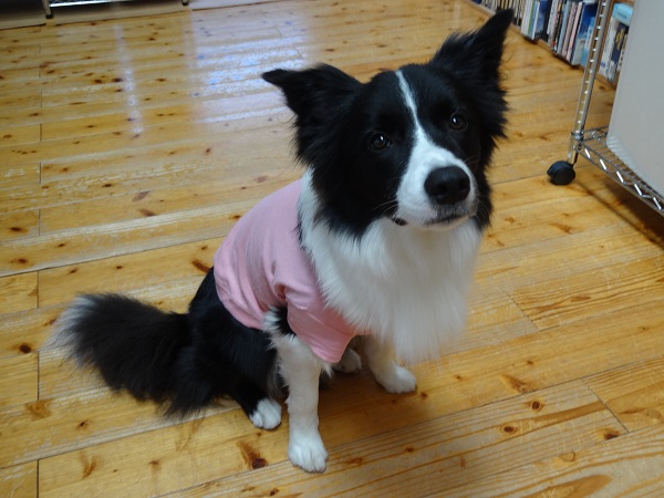 DSC01680.jpg
