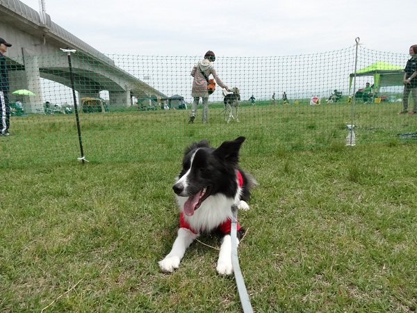 DSC01724.jpg