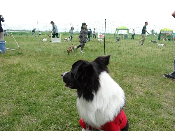 DSC01726.jpg
