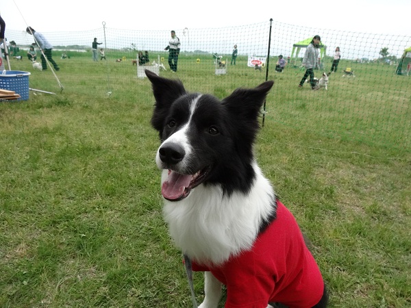 DSC01727.jpg