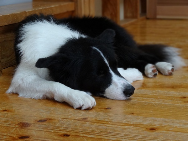 DSC01734.jpg