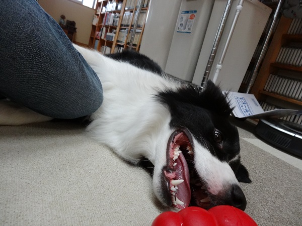 DSC01884.jpg