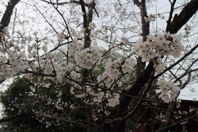 DPP_0030.jpg