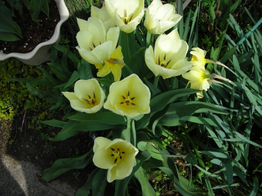 DSCN0817.jpg