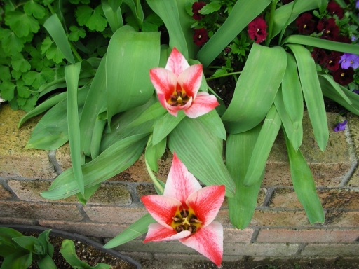 DSCN0832.jpg