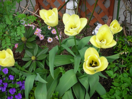 DSCN0833.jpg