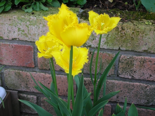 DSCN0940.jpg