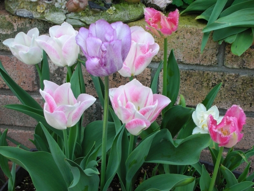 DSCN0941.jpg