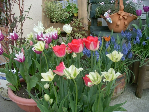 DSCN1653.jpg