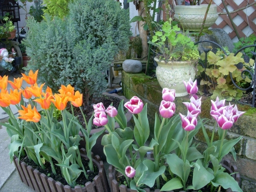 DSCN1661.jpg