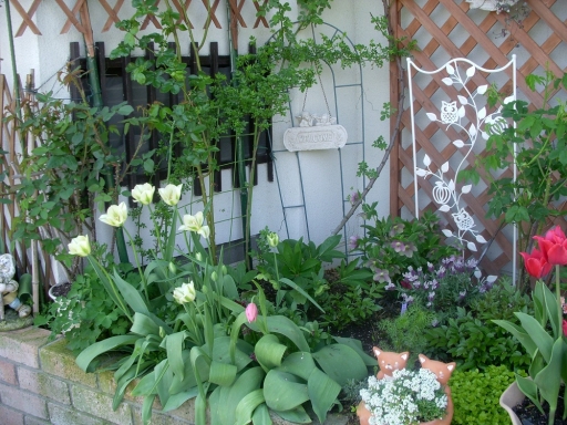 DSCN1680.jpg