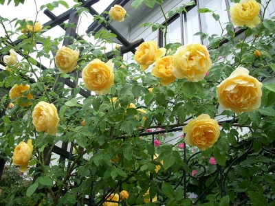 DSCN4657.jpg