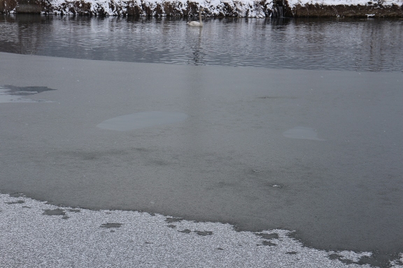 IMG_2450.jpg