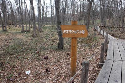 IMG_2766.jpg