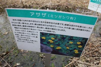 IMG_2787.jpg