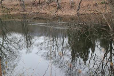 IMG_2792.jpg
