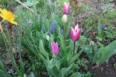 IMG_3427.jpg