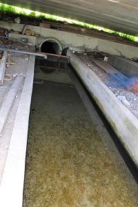 IMG_3738.jpg