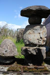 IMG_3741.jpg