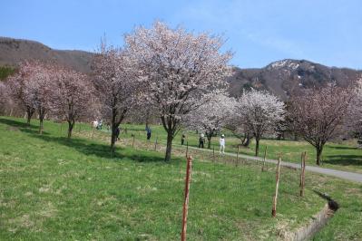 IMG_3816.jpg