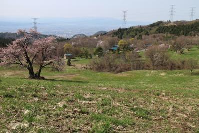 IMG_3843.jpg