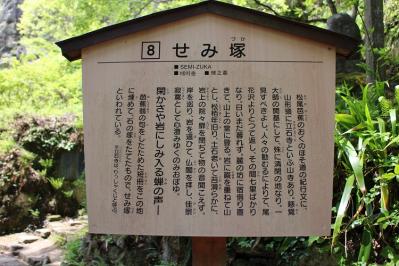 IMG_4129.jpg