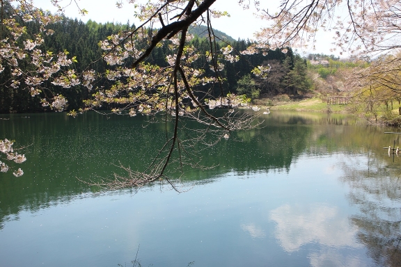 IMG_4230.jpg