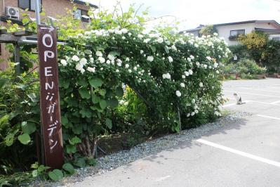 IMG_5197.jp<br />g
