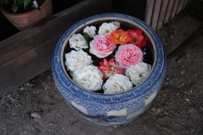 IMG_5573.jpg
