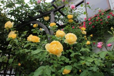 IMG_5610.jpg