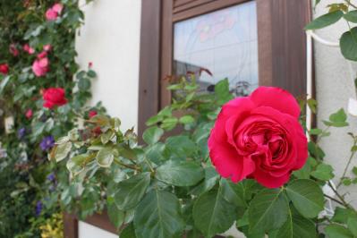 IMG_5857.jpg