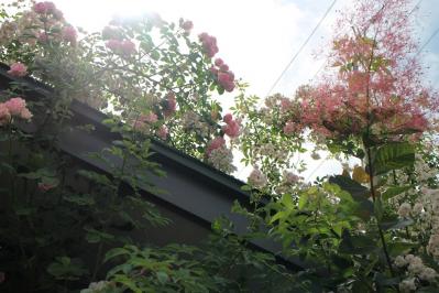 IMG_6152.jpg