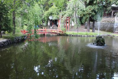 IMG_6626.jpg