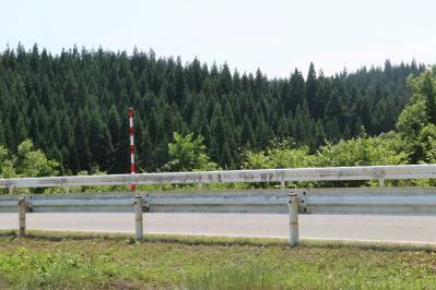 IMG_6944.jpg