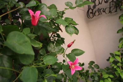 IMG_6976.jpg
