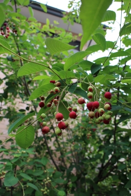 IMG_7165.jpg