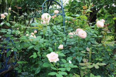IMG_7377.jpg