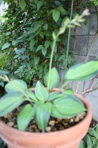 IMG_7445.jpg